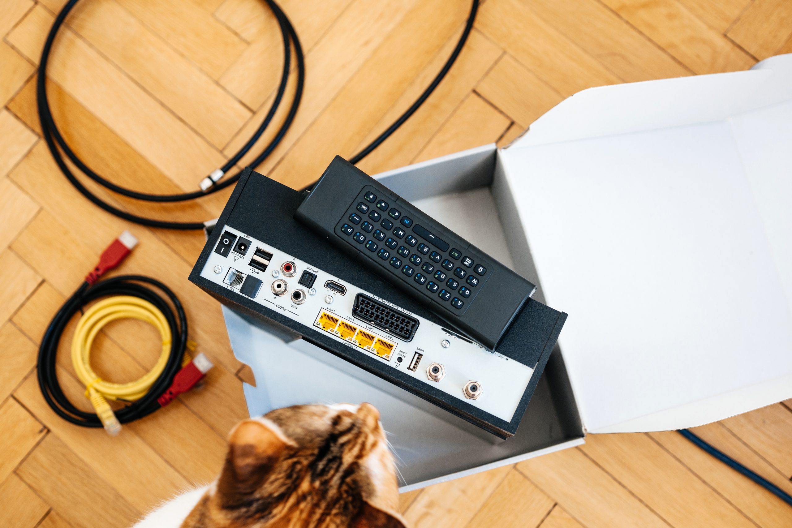 A curious cat eyes an open box with an electronic device sporting multiple ports, a remote control perched on top, and cables scattered across the wooden floor. Here’s how to prevent pets from chewing electrical cords in such tempting scenarios.