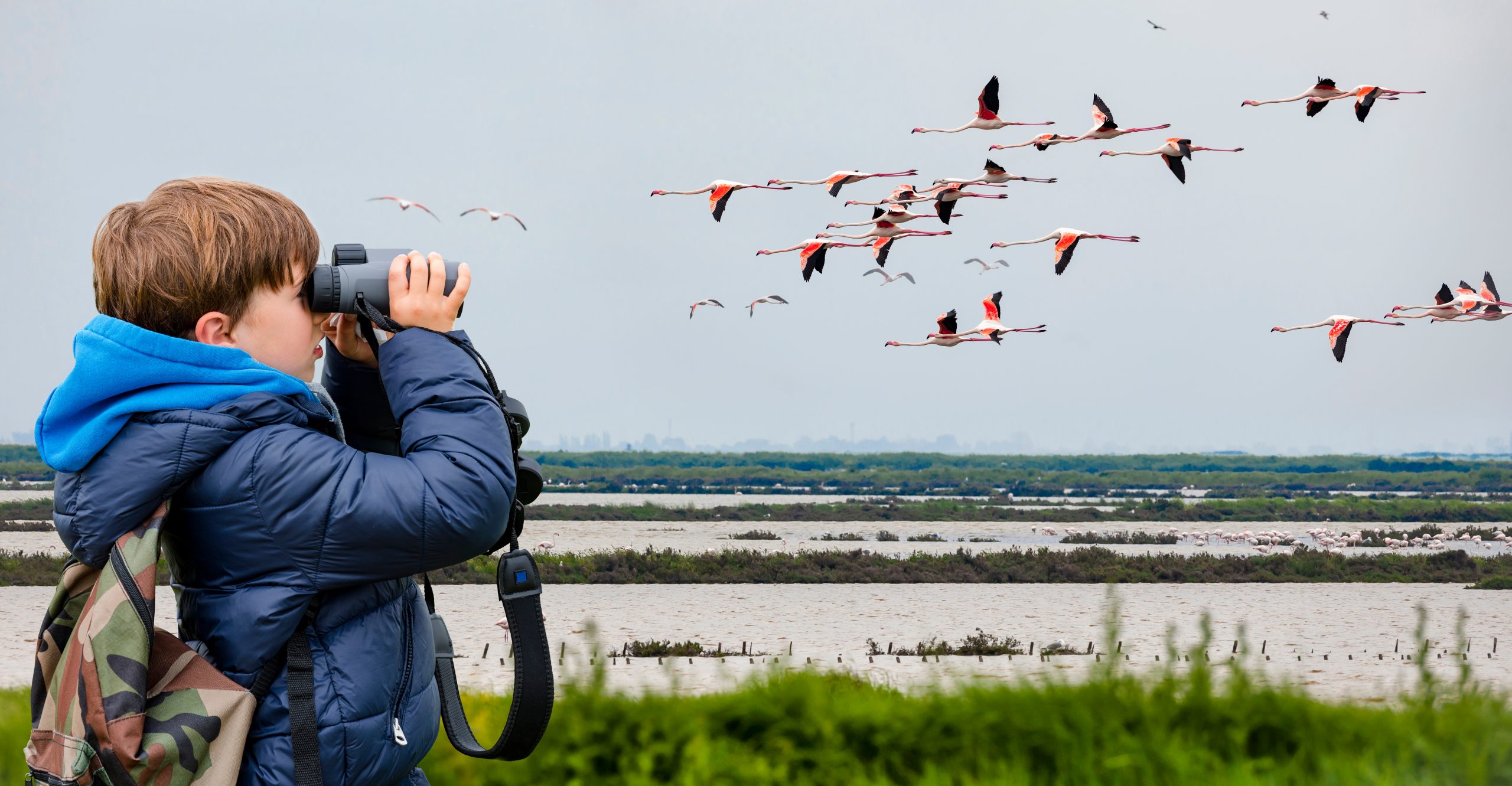 A child in a blue jacket and backpack uses the best bird-watching binoculars for beginners to gaze at a flock of flamingos soaring over a wetland. The background showcases a cloudy sky and distant greenery.