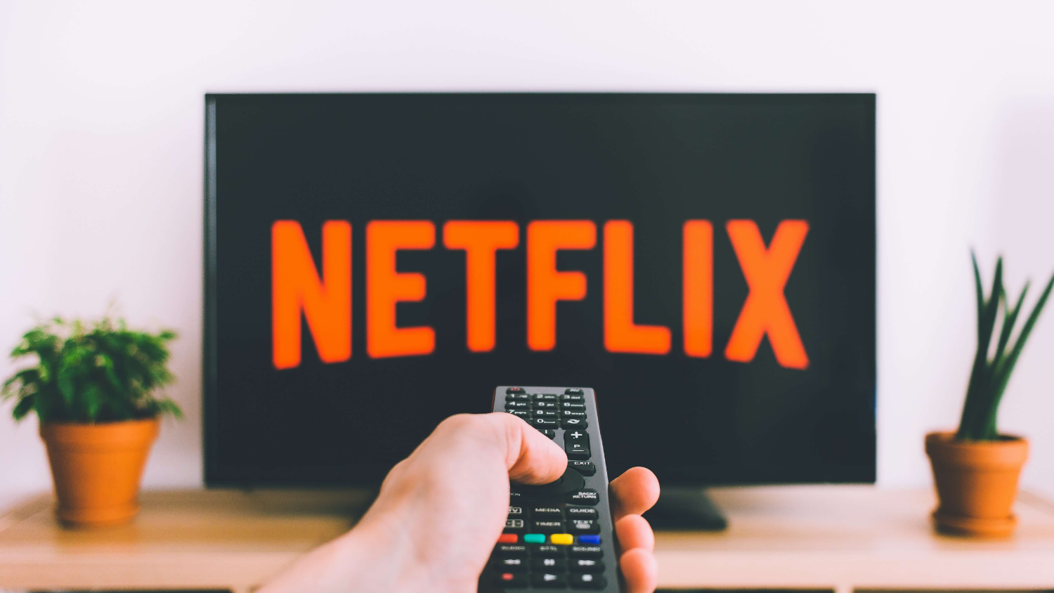 A hand holds a remote control in front of a TV displaying the Netflix logo on the screen. Two small potted plants are placed on a wooden surface below the TV.