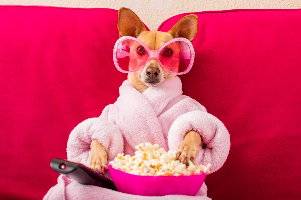 The Bone-afide Best Dog Movies for Kids of All Time