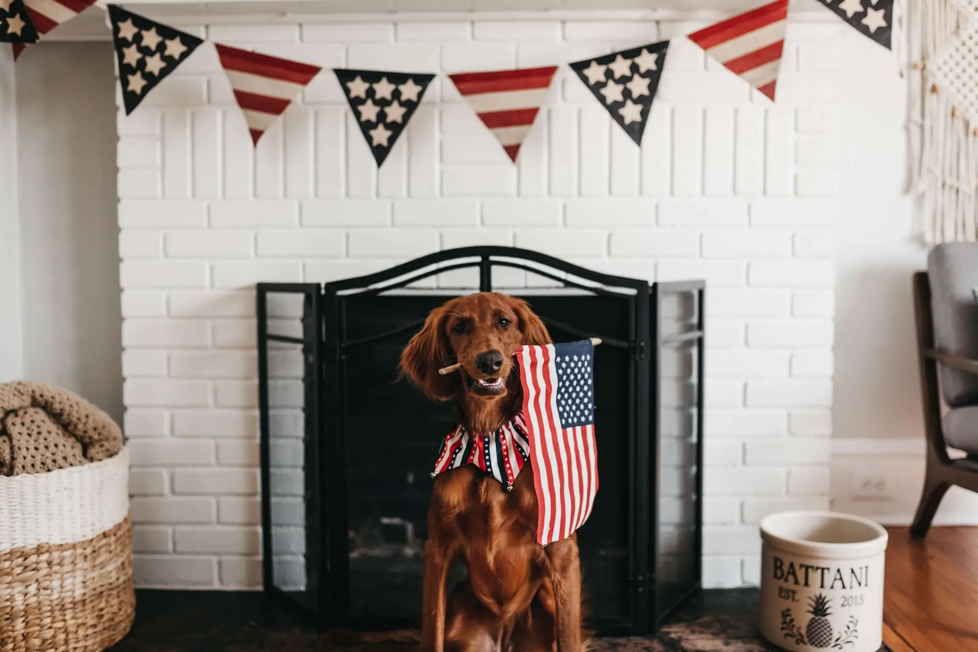 A brown dog with a patriotic bowtie poses in front of a fireplace adorned with American flag-themed bunting. To the left, a woven basket holds 4th of July cupcakes, while on the right stands a container labeled BATTANI Est. 2015.