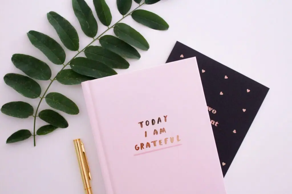 A flat lay image showcases a pink notebook with the text "Today I Am Grateful" in gold, a gold pen, a black card adorned with tiny hearts, and a green branch. This charming setup is perfect for inspiring gratitude activities for kids, all artfully arranged on a white background.