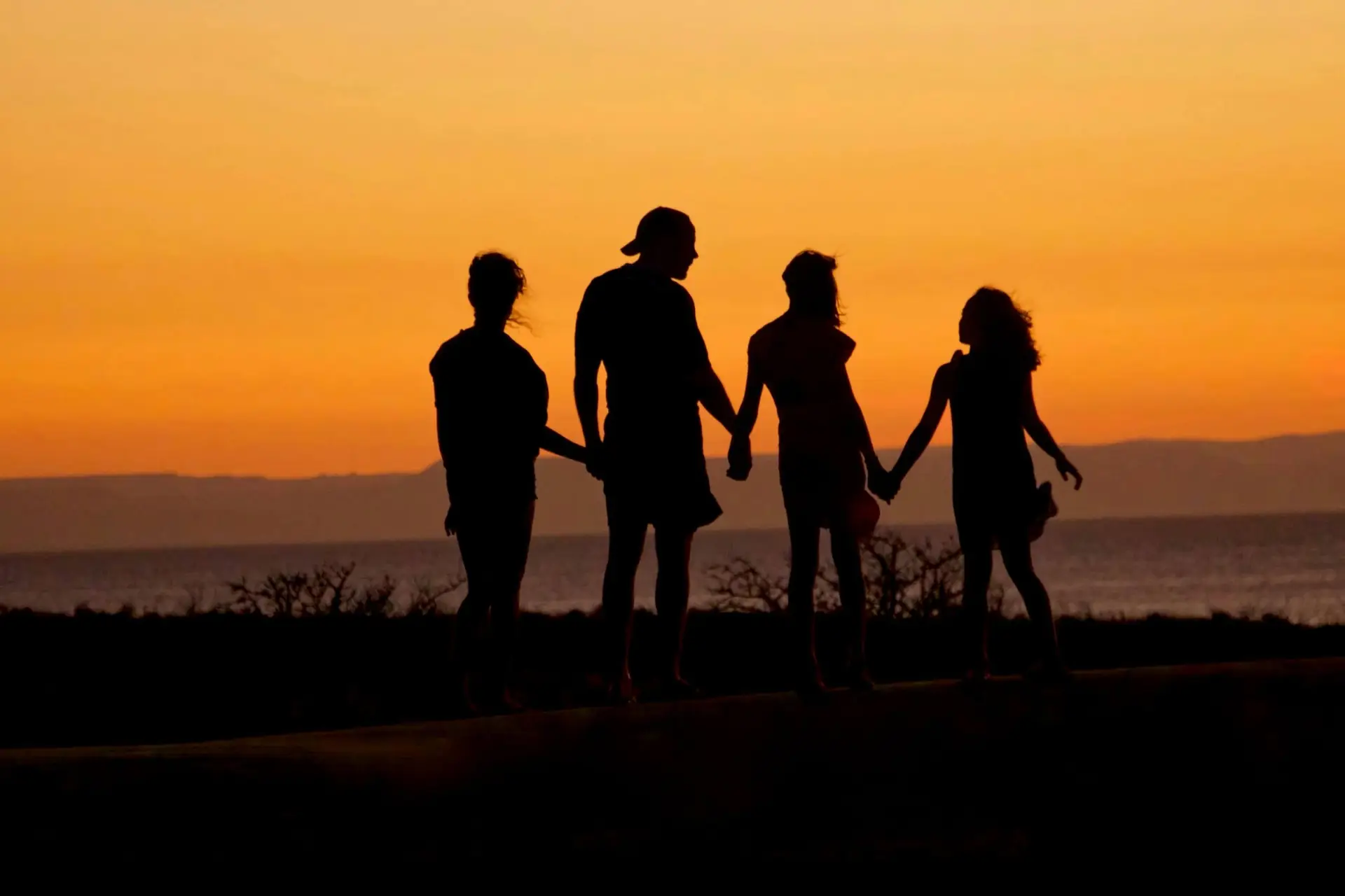 Silhouetted image of a family of four, perhaps after reading parenting books, holding hands against a vibrant orange sunset. They stand near a body of water, with distant hills visible on the horizon.