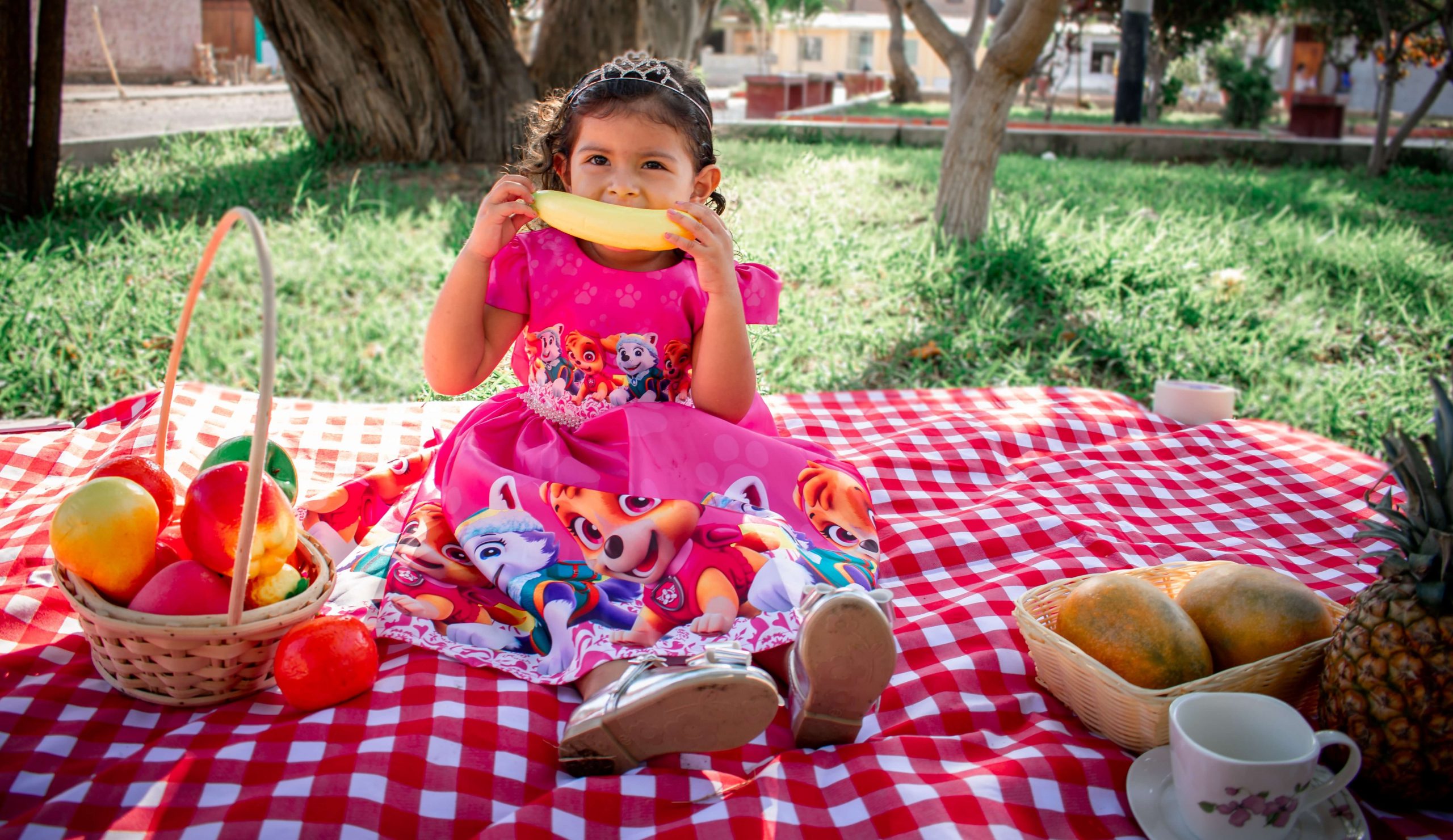 A young girl sits on a red checkered picnic blanket in a park, wearing a pink dress with cartoon characters. She's eating a banana. Beside her are baskets of fruits and bread, along with a cup on a saucer. Surrounded by trees and grass, she's ready to enjoy some picnic games for kids.