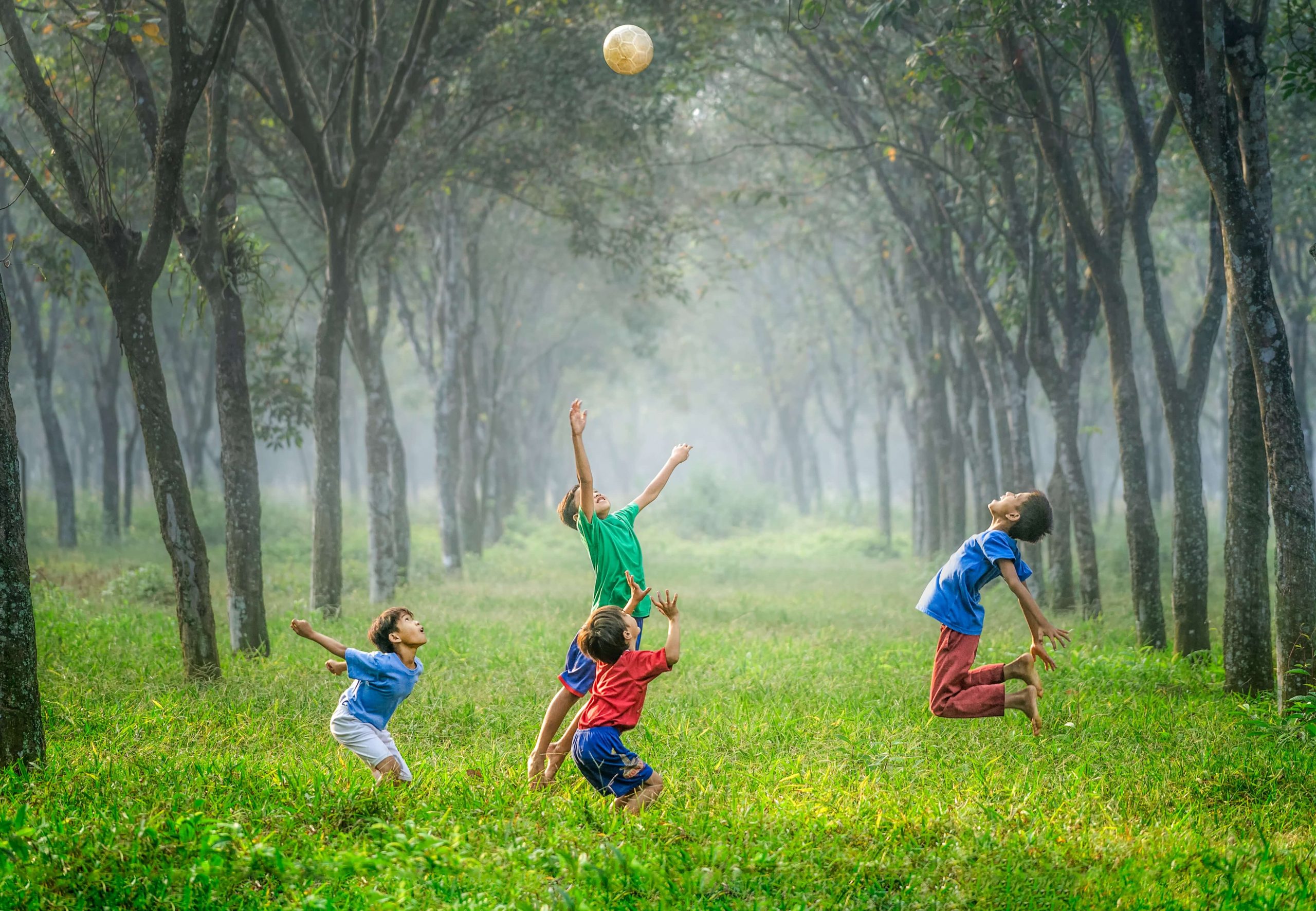 Four children joyfully playing with a ball in a lush, misty forest showcase the best gifts for active kids. The grass is green, and tall trees line the background, creating a serene, playful atmosphere.