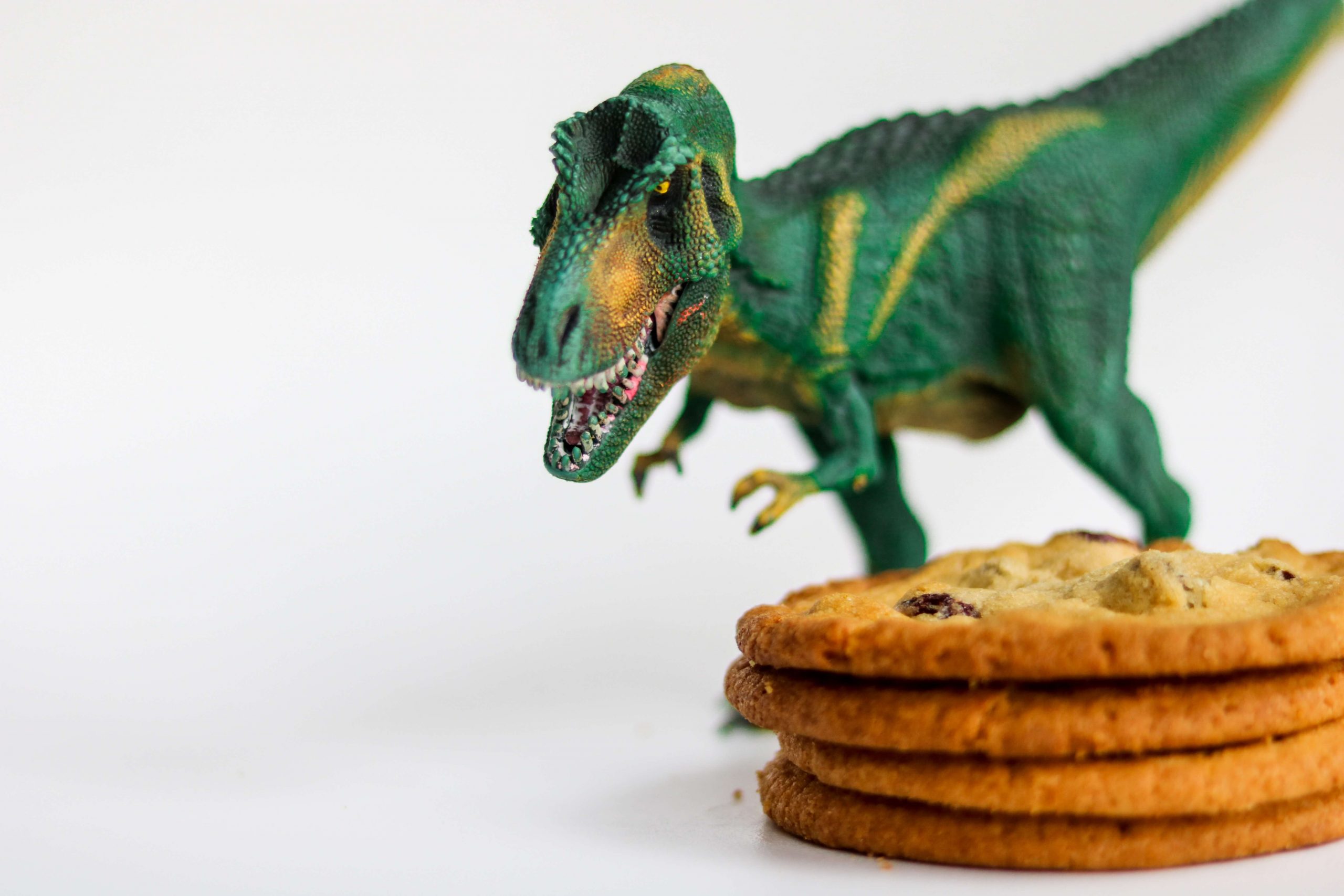 A green toy dinosaur with an open mouth looms playfully over a stack of three chocolate chip cookies, creating a charming scene reminiscent of dinosaur-themed food, all set against a crisp white background.