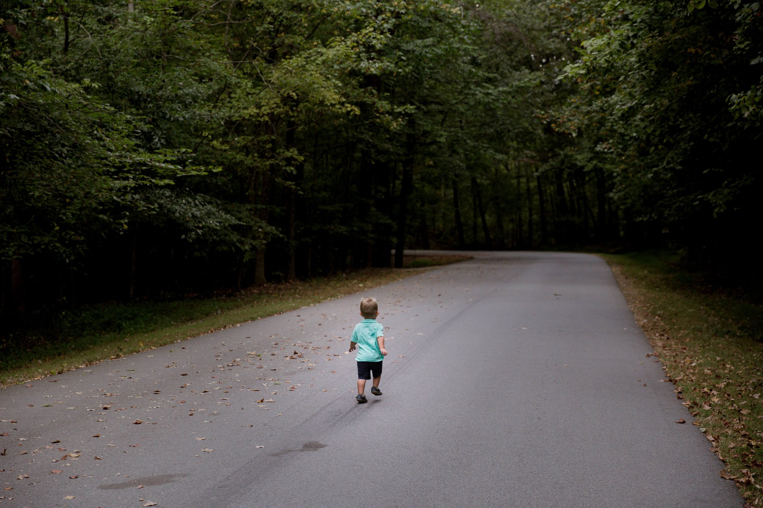 A young child in a green shirt walks along a winding, tree-lined road, with fallen leaves scattered on the pavement. As the dense forest ensures a serene atmosphere, one wonders how much time kids should spend on phones amidst nature's beauty.