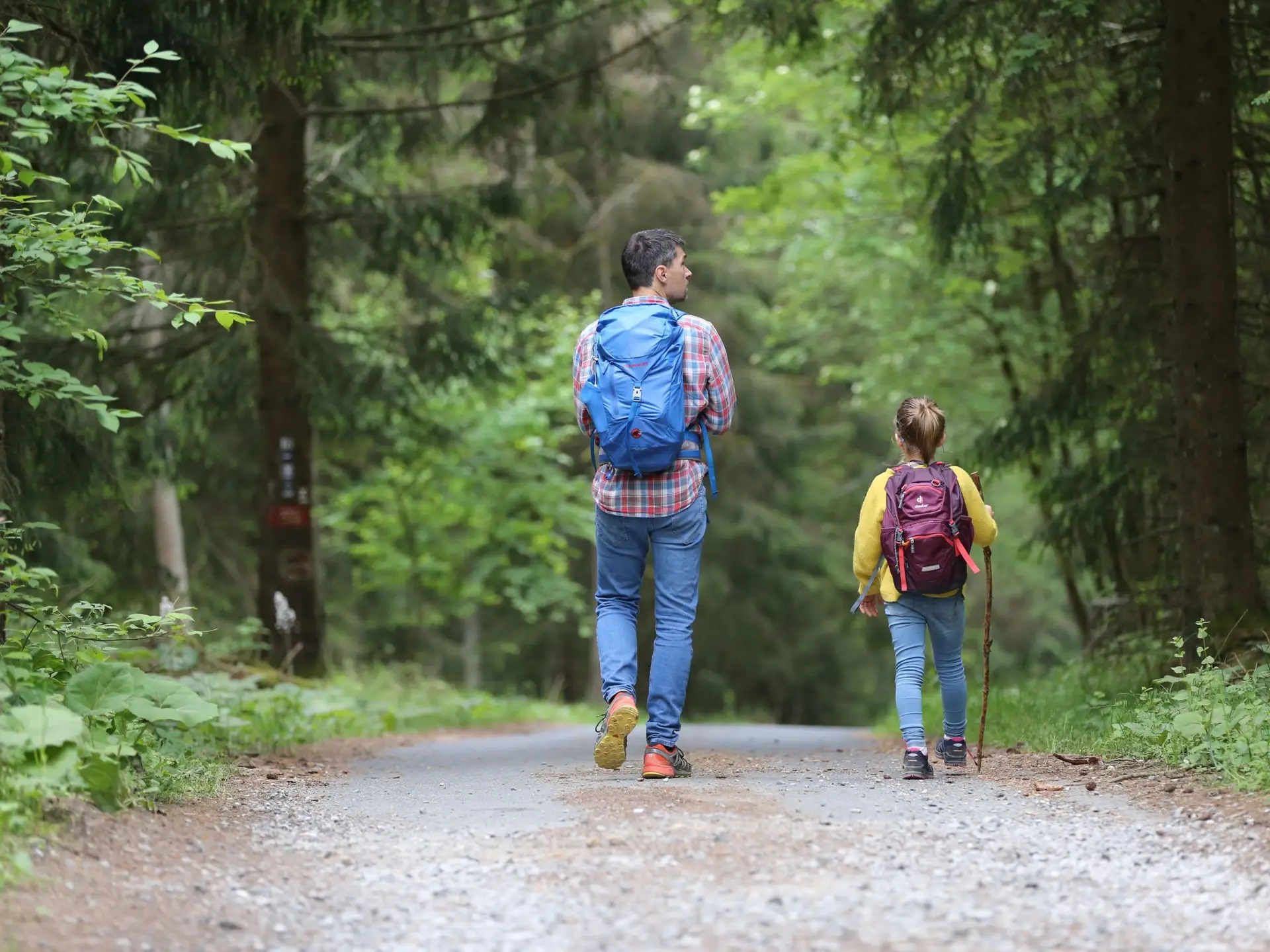 A man and a young girl, both with backpacks, walk along a gravel path through a lush, green forest. The girl carries a stick as they are viewed from behind, surrounded by tall trees and dense foliage—a scene that showcases the freedom encouraged by modern American parenting styles.