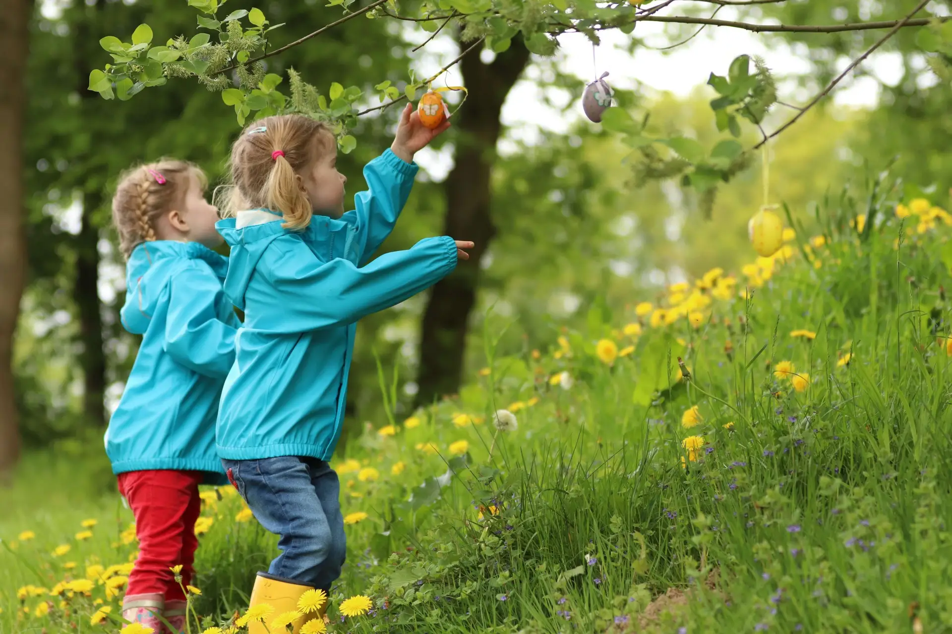 Two young children in blue jackets are joyfully picking colorful Easter eggs from a tree branch in a grassy area peppered with yellow dandelions. Surrounded by lush greenery, this playful scene is one of many delightful things to do with kids outside.