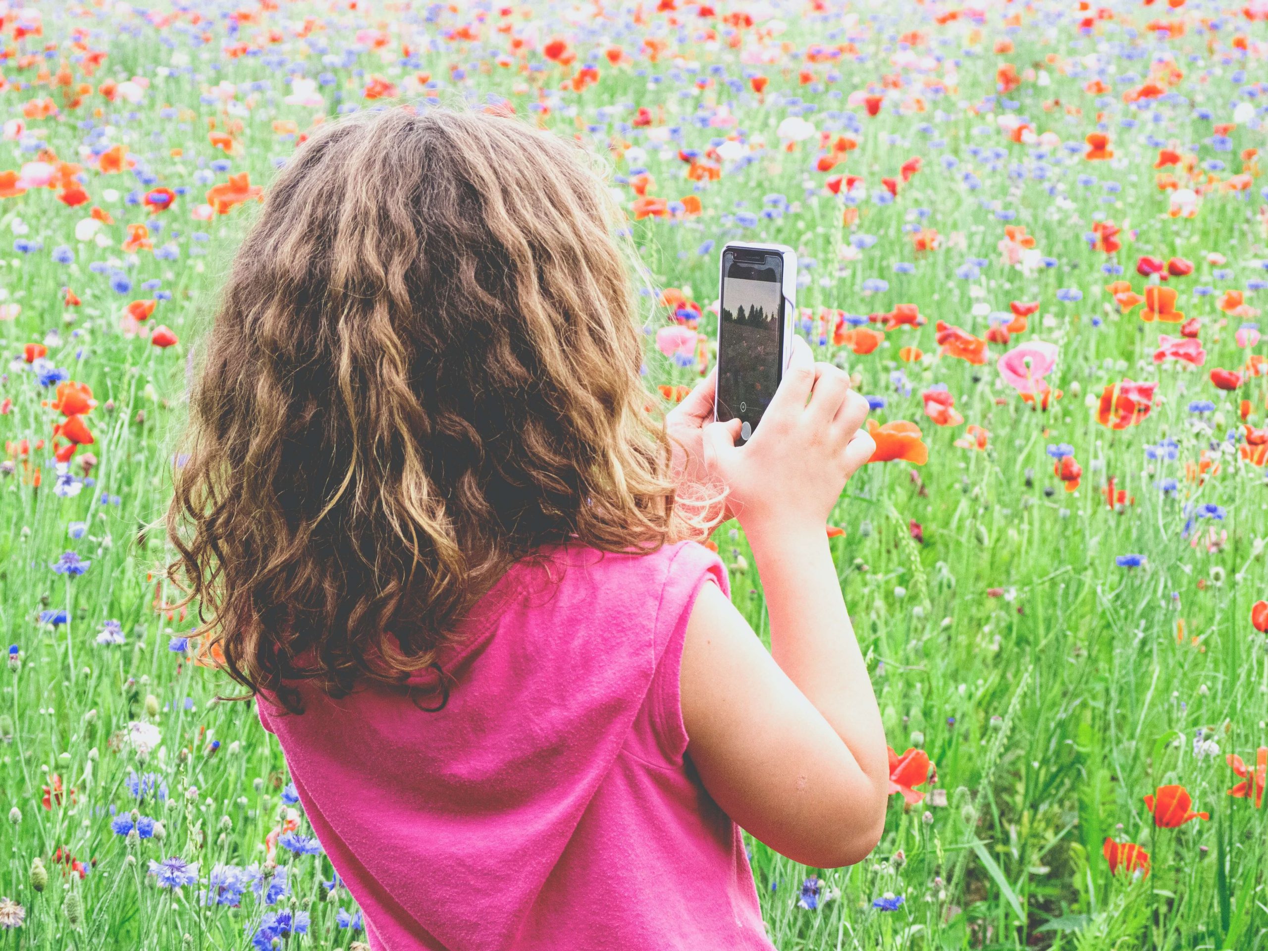 A child with curly hair, wearing a pink shirt, stands in a field of red poppies and blue wildflowers. With one of the 5 reasons your kid should have a cell phone in hand, they expertly capture the vibrant scene on their smartphone.