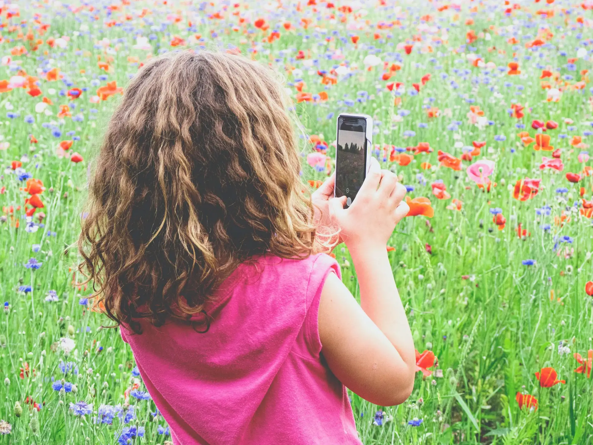 A child with curly hair, wearing a pink shirt, stands in a field of red poppies and blue wildflowers. With one of the 5 reasons your kid should have a cell phone in hand, they expertly capture the vibrant scene on their smartphone.