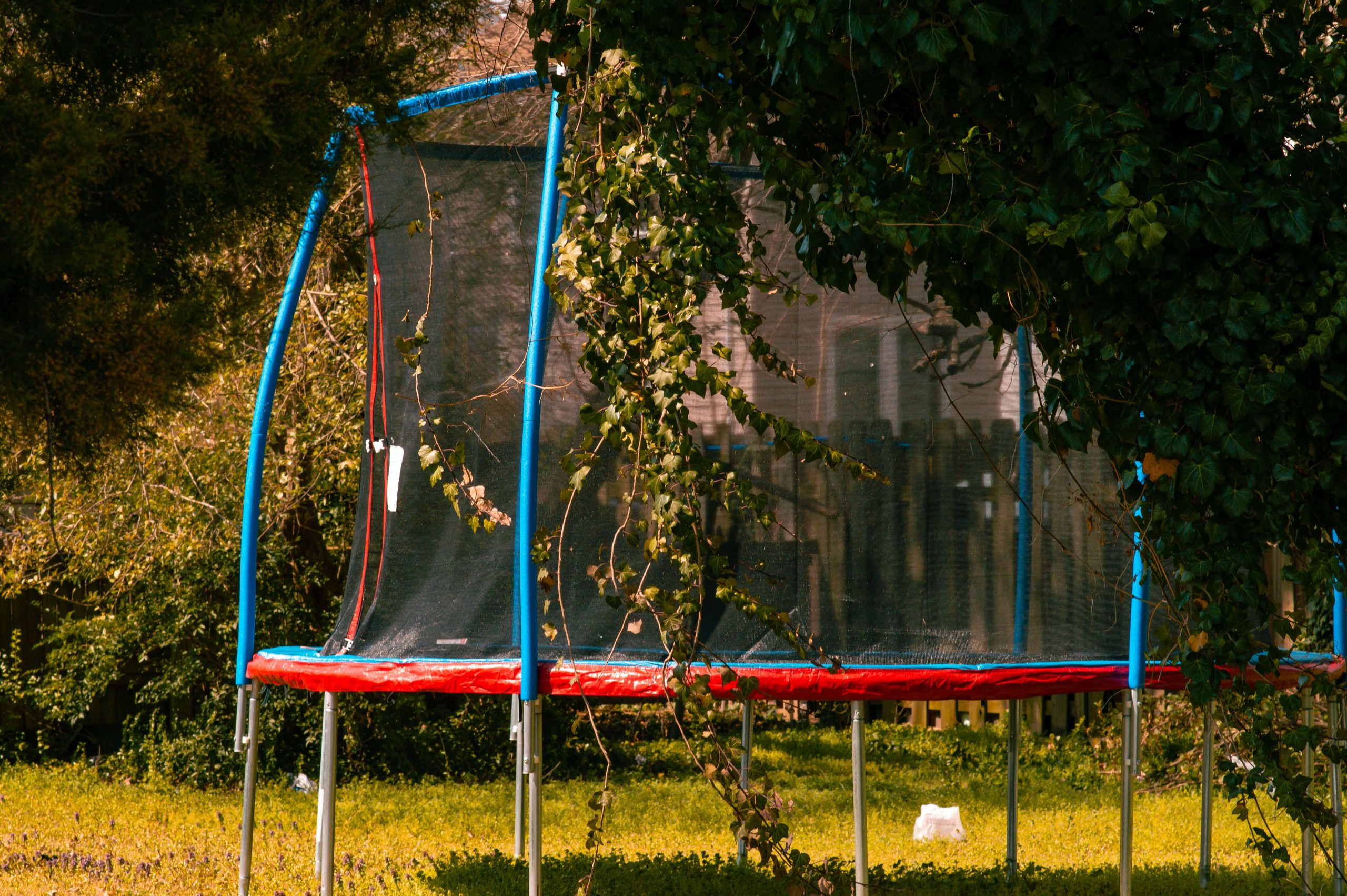 A toddler trampoline with a blue frame and red padding sits serenely amidst climbing plants. It's nestled in a grassy spot, where the playful blur of trees and a wooden fence create an inviting backdrop for endless backyard adventures.