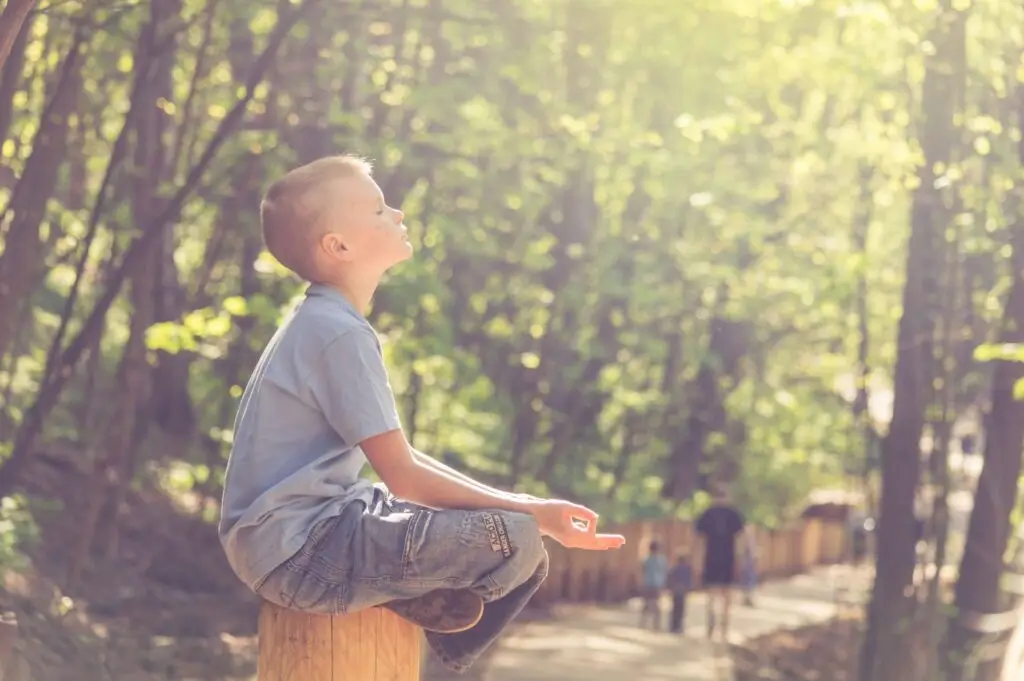 A young boy sits cross-legged on a tree stump in a sunlit forest, wearing jeans and a light blue shirt. Sunbeams stream through the trees, creating a peaceful atmosphere perfect for impulse control activities for kids. Two people walk in the background on a path.