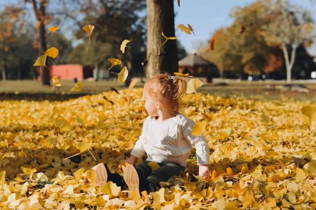 A child with light brown hair sits joyfully on the ground in a park, surrounded by a carpet of yellow leaves. As leaves fall around them, they enjoy impromptu fall art activities for preschoolers. Wearing a white sweater, they look to the side, with trees and a small building in the background.