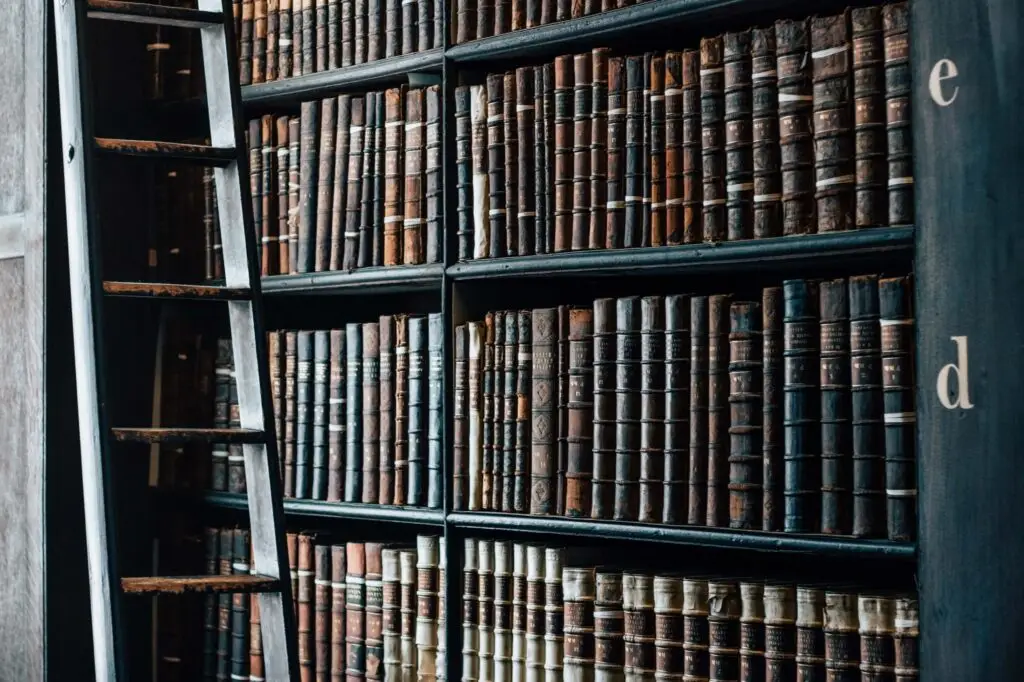 A tall, wooden bookshelf filled with volumes of old, leather-bound books stands proudly. A wooden ladder leans against the shelf, inviting young readers to discover history books for kids nestled among the rich, dark spines that create a vintage library feel.