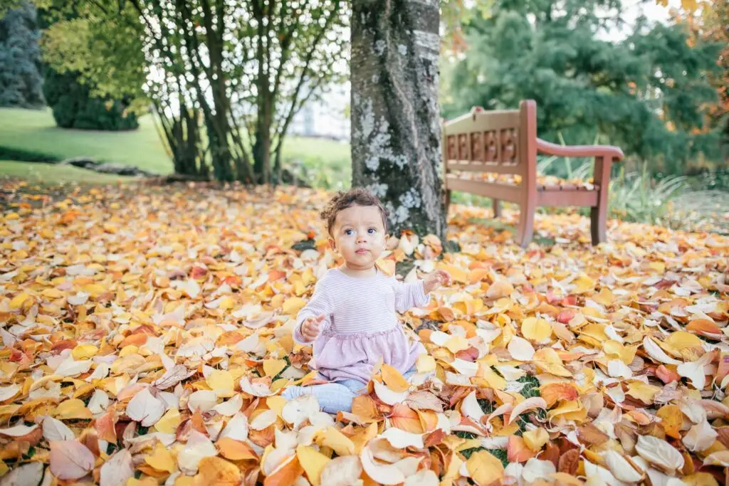 A toddler sits on the ground covered in golden and orange autumn leaves, a perfect setting for fall activities. With a wooden bench and trees in the background, the child wears a light-colored outfit and appears curious and content.