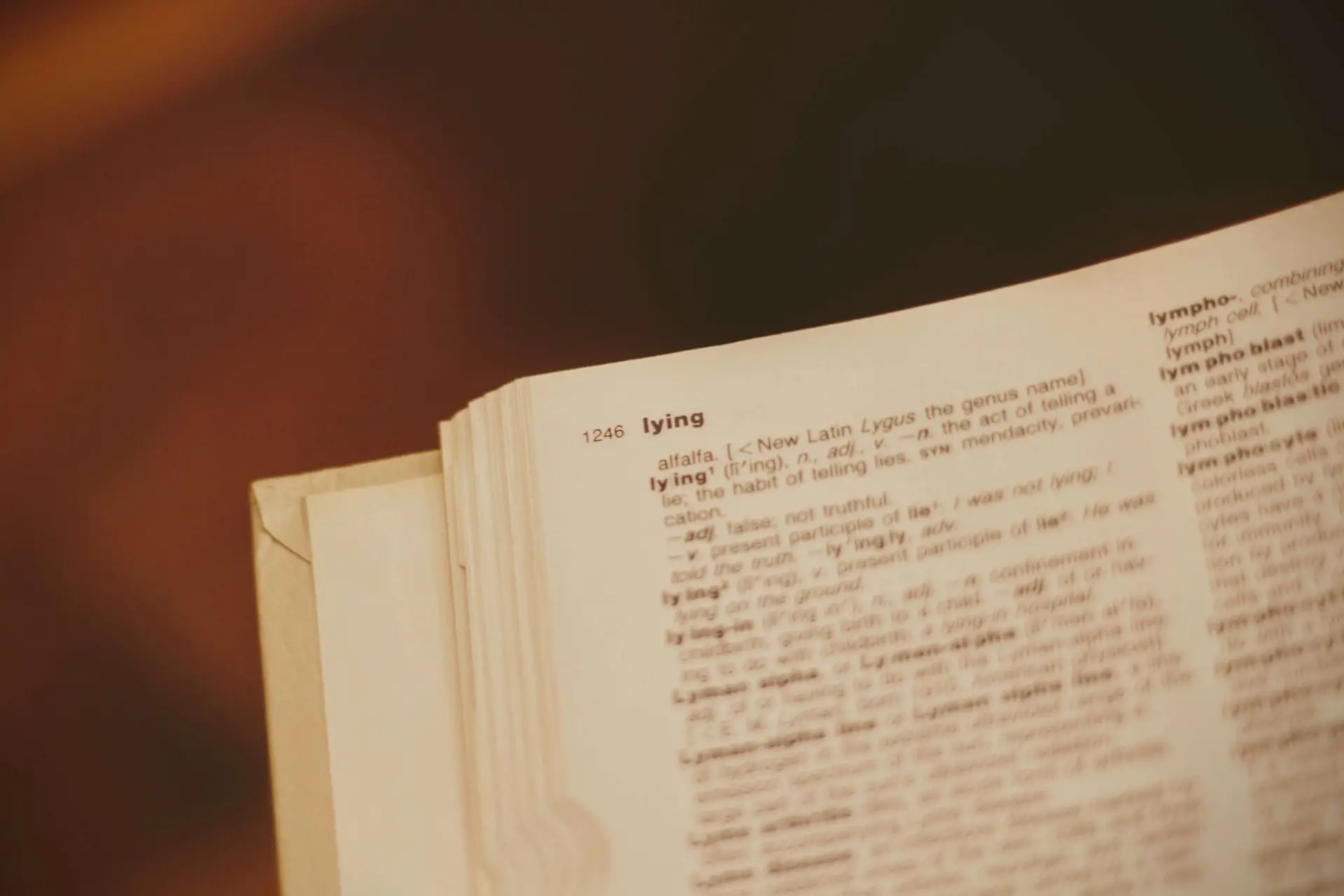 A close-up of an open dictionary reveals the word lying prominently at the top of the page, reminiscent of how people are often caught lying on social media. The edges of the pages curl slightly, while a blurred background ensures all attention remains on this telling word.