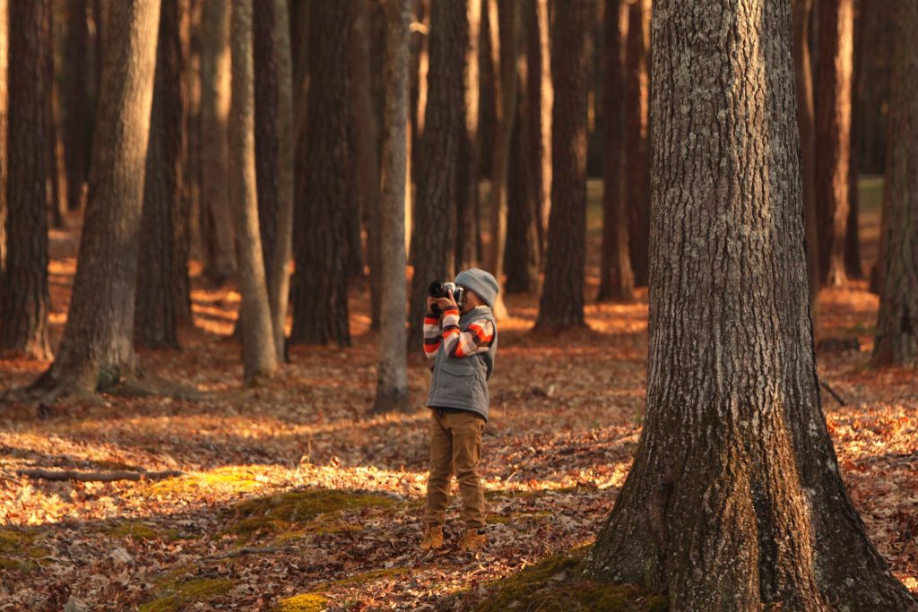  Fall Frolics: Creative and Refreshing Outdoor Fall Activities to Try