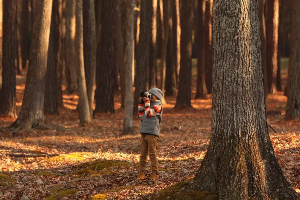 A child wearing a grey hoodie and striped jacket holds a camera to their face, embracing outdoor fall activities in a sunlit forest with tall trees and fallen autumn leaves scattered across the ground.