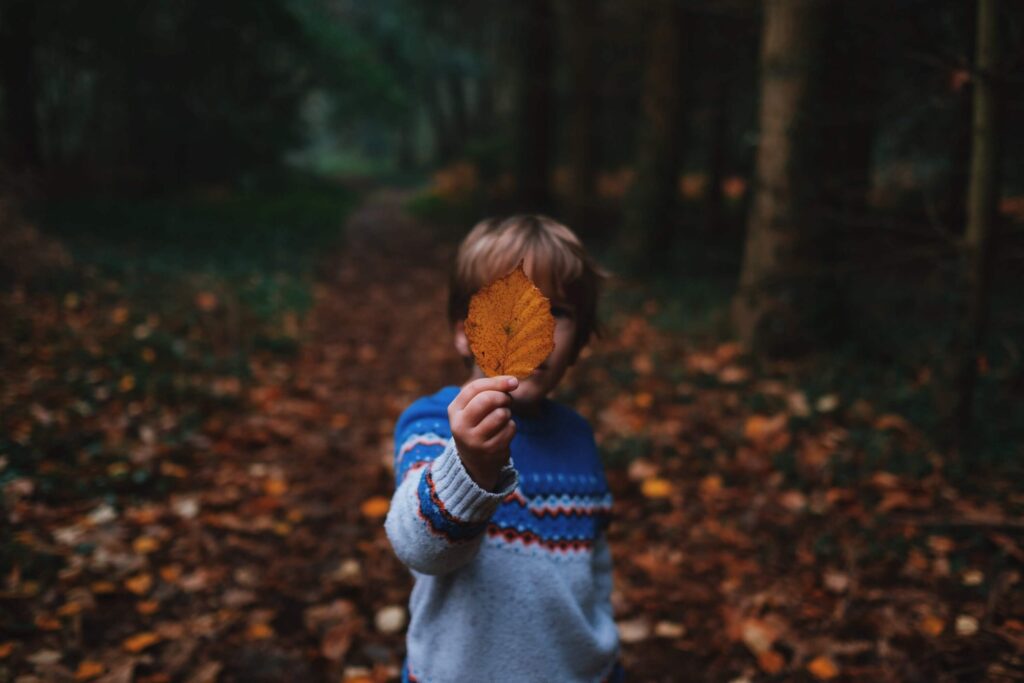 A young child explores a forest, holding a large orange leaf up to their face, much like they would during fun fall math activities for preschoolers. The path is carpeted with leaves and flanked by tall trees. The child dons a blue sweater adorned with red and white patterns, adding to the seasonal charm.