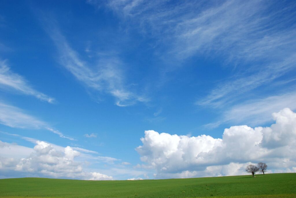 A vast green field under a bright blue sky, its hue explained by why the sky is blue, with wispy clouds dancing above. A lone tree stands on the right side, adding contrast to the open landscape.