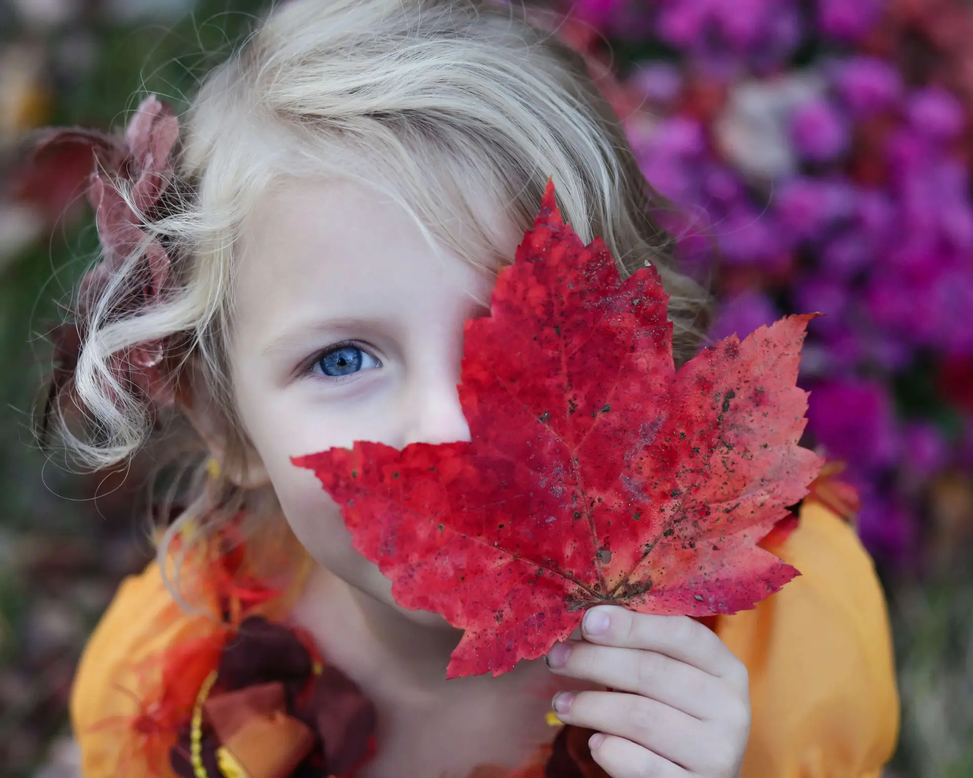 A young child with blonde hair holds a large red maple leaf in front of their face, covering one eye—a perfect snapshot of fall activities for elementary students. They are surrounded by vibrant, blurred pink flowers, wearing an orange outfit adorned with brown and red accents.