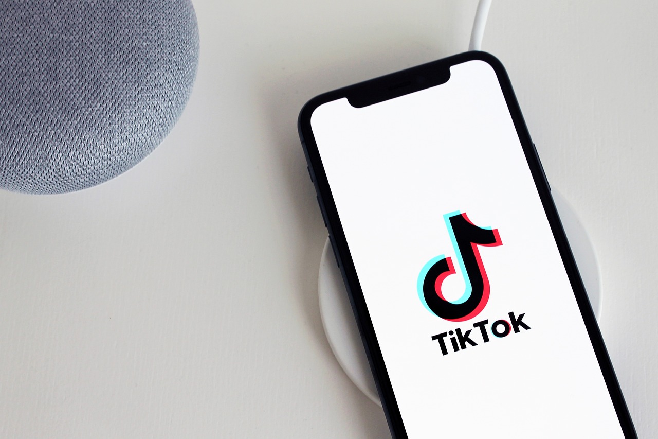 TikTok Brain: Understanding the Impact of TikTok on Young Minds