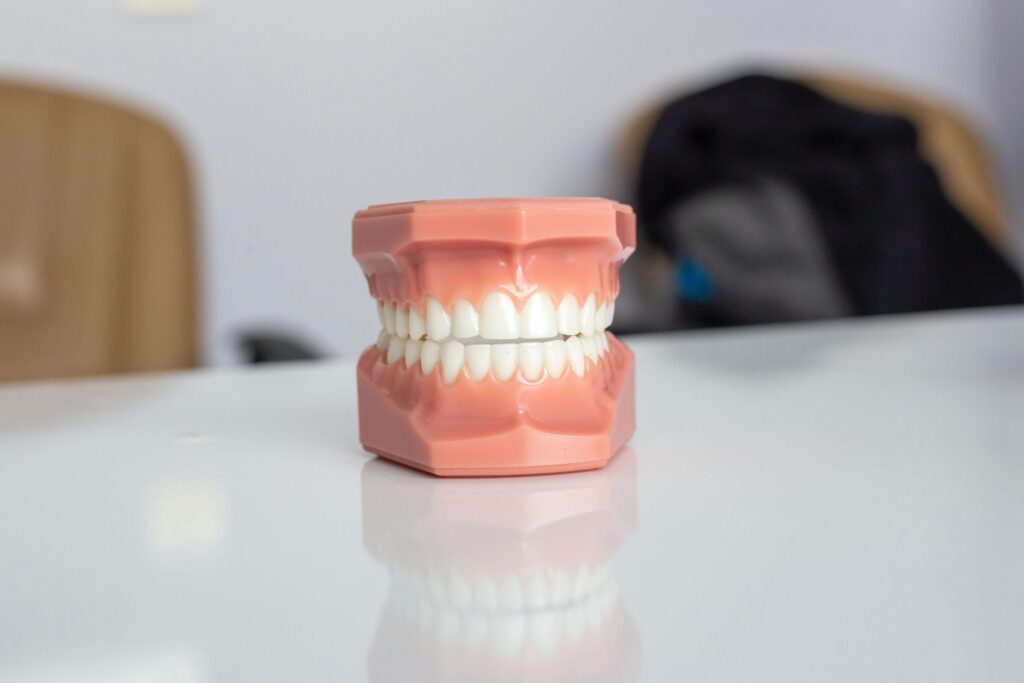 A dental model with a pink gum base and white teeth is placed on a glossy white surface, inviting curiosity about why kids grind their teeth in their sleep. The background is blurred, featuring a beige chair and an indistinct dark-colored object.