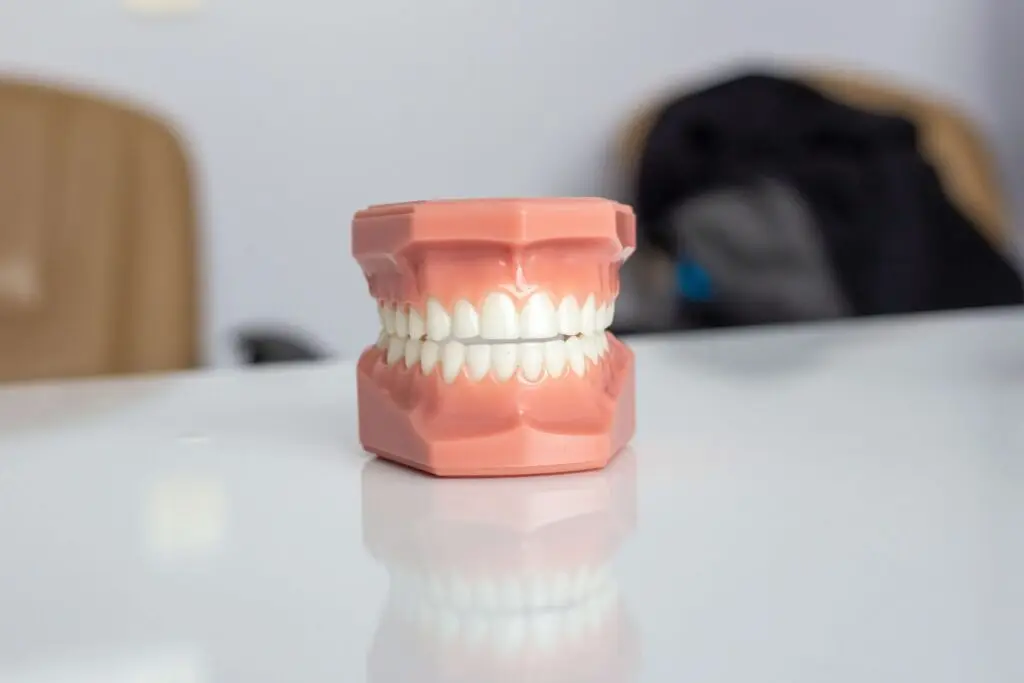 A dental model with a pink gum base and white teeth is placed on a glossy white surface, inviting curiosity about why kids grind their teeth in their sleep. The background is blurred, featuring a beige chair and an indistinct dark-colored object.