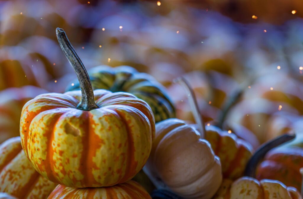 Close-up of assorted pumpkins with orange and yellow stripes, glowing warmly under bokeh lights. This festive scene evokes a sense of autumnal delight, like thanksgiving cartoons for kids that captivate the joy of the season.