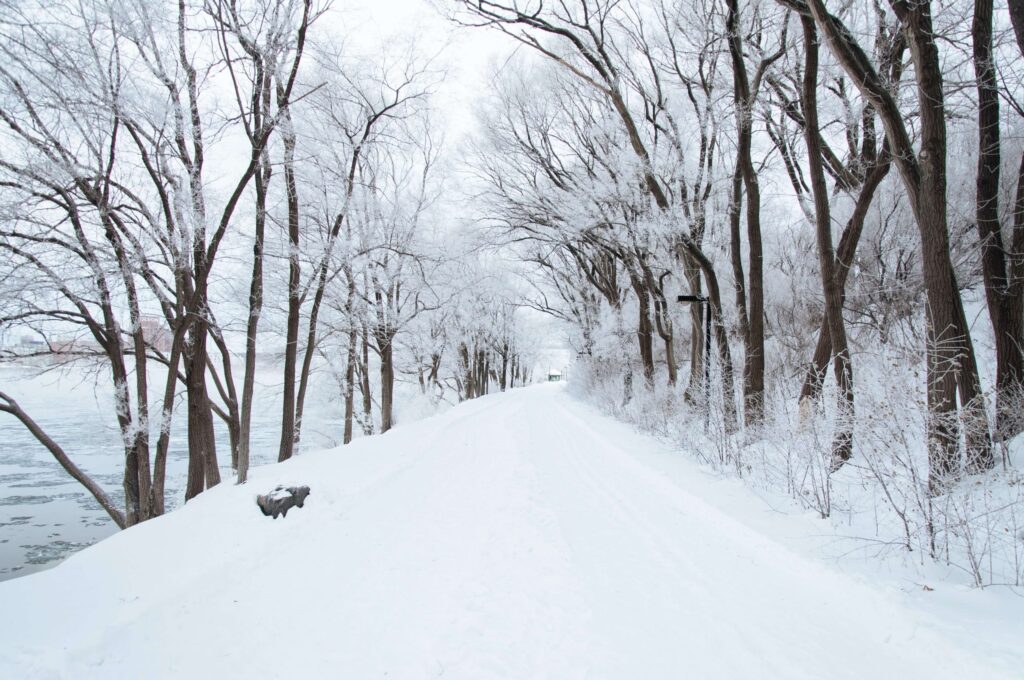 A snow-covered path lined with bare trees on a winter day resembles a scene from winter riddles for kids. The branches are dusted with snow, creating a serene, frosty landscape. The path curves gently, and a partially frozen body of water is visible to the left.