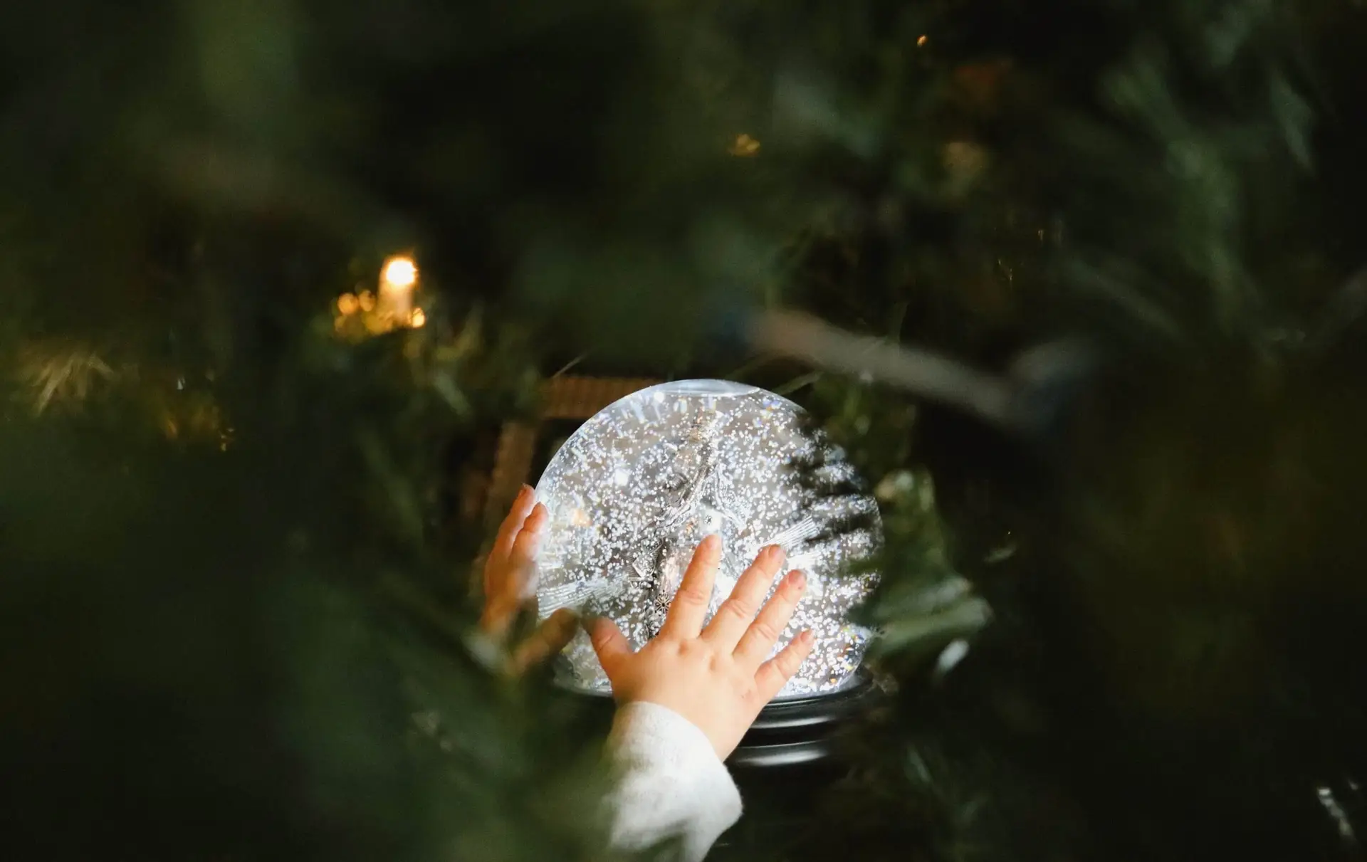 A child's hands touch a snow-dusted plate, surrounded by a soft focus of green foliage from a Christmas tree, creating a festive and cozy atmosphere perfect for inspiring winter art projects for kids.