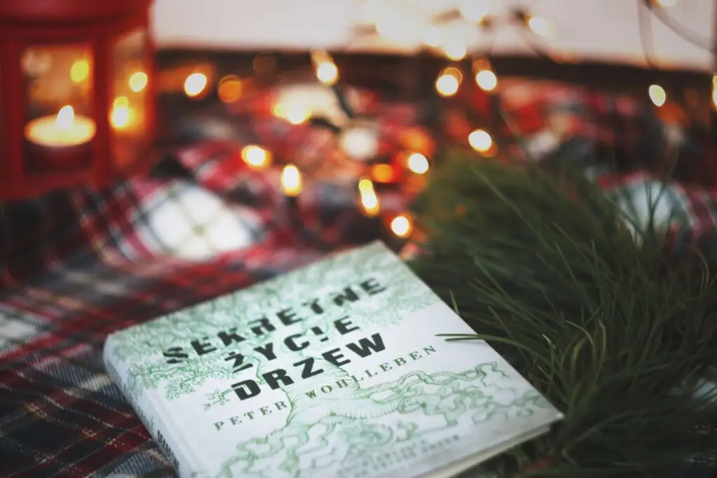 A cozy setting features a book titled Sekretne życie drzew by Peter Wohlleben on a plaid blanket. Festive string lights and green pine branches enhance the warm atmosphere, reminiscent of Christian Christmas books for kids, with a glowing red lantern in the background.