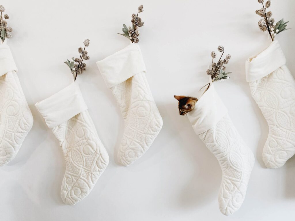 Five white quilted Christmas stockings, perfect for kids, hang on a wall. The stockings are adorned with sprigs of greenery and pinecones. A small kitten peeks out from one of the stockings, adding a touch of whimsy to the festive display.