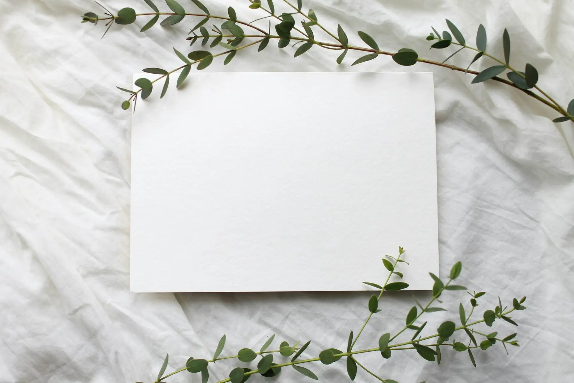 blank white piece of paper on a white sheet with greenery around it