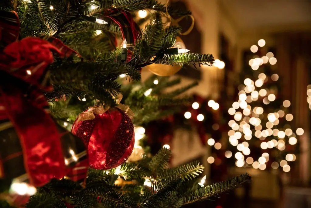 Close-up of a decorated Christmas tree with red and gold ornaments and twinkling lights. Did you know in some cultures, children put shoes by the fireplace instead of stockings? In the background, another tree is visible with blurred lights creating a warm, festive atmosphere.