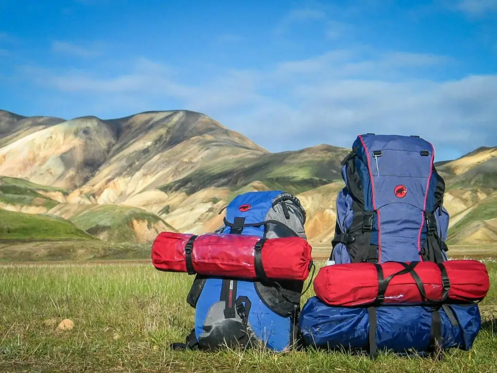 blue backpacking packs in a field