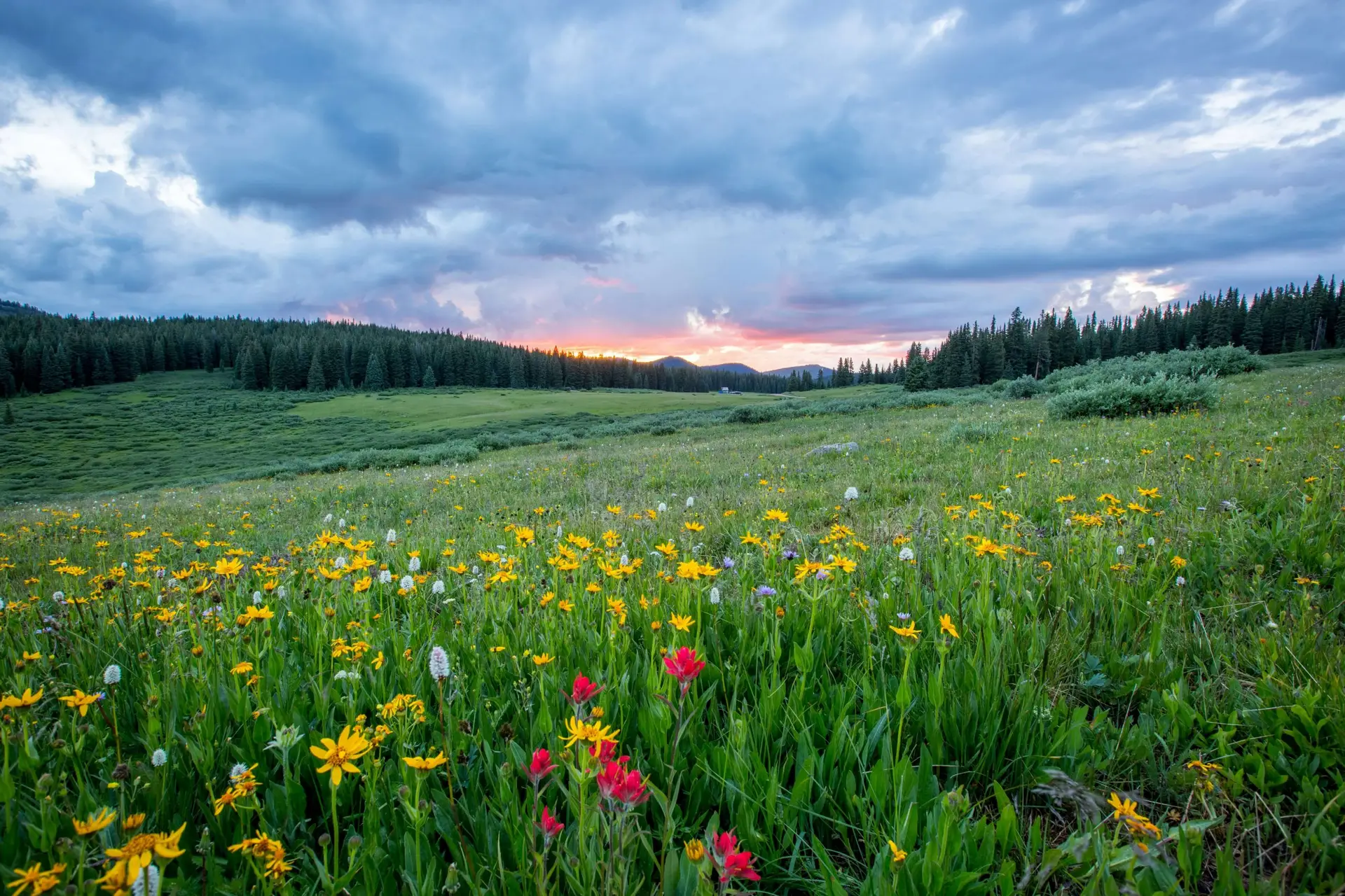 Spring Outdoor Activities for Nature Lovers and Families