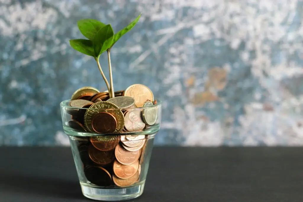 glass filled with coins and sprouting plant