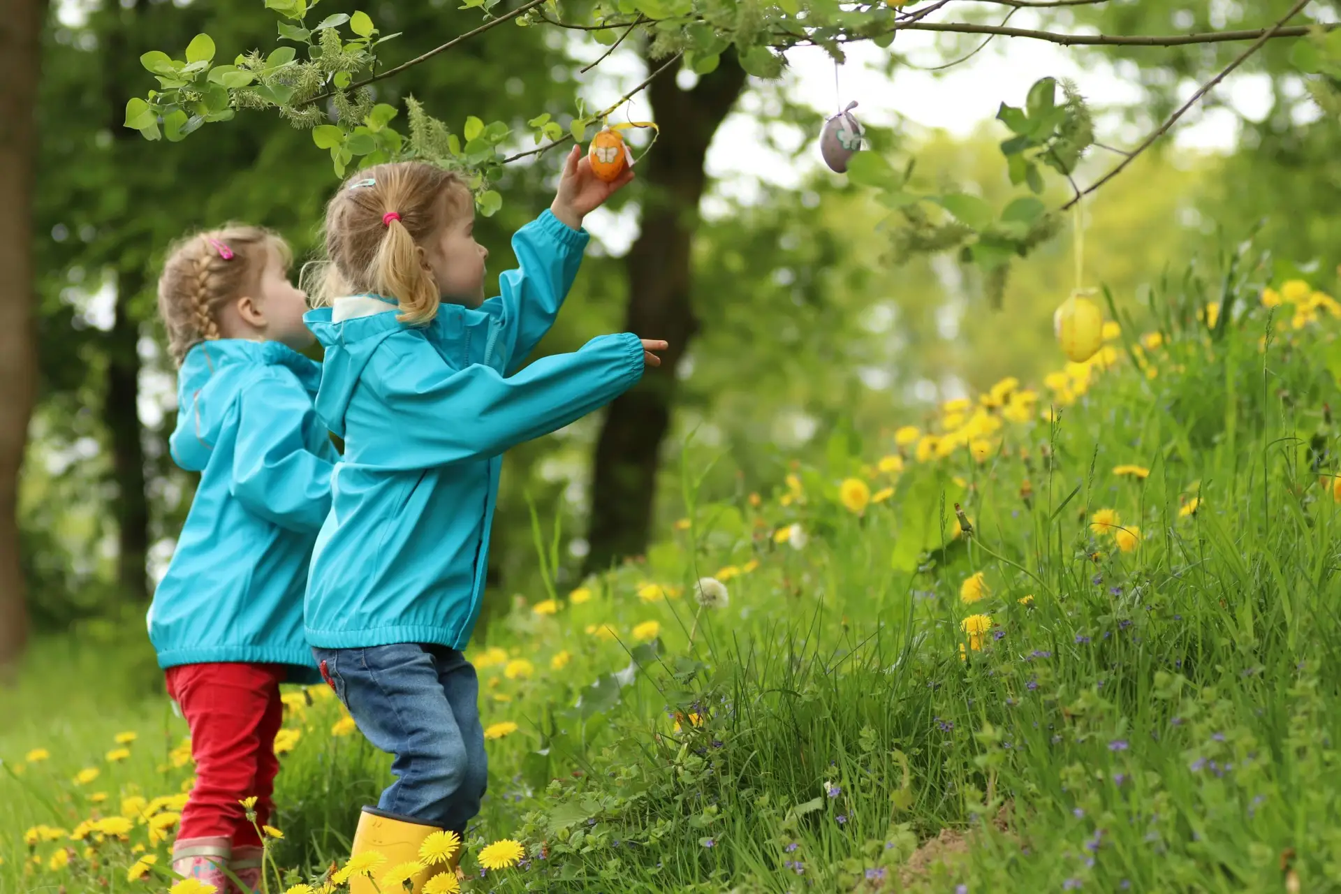 Spring Activities for Elementary Students