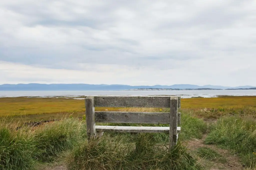 empty bench next to the beach