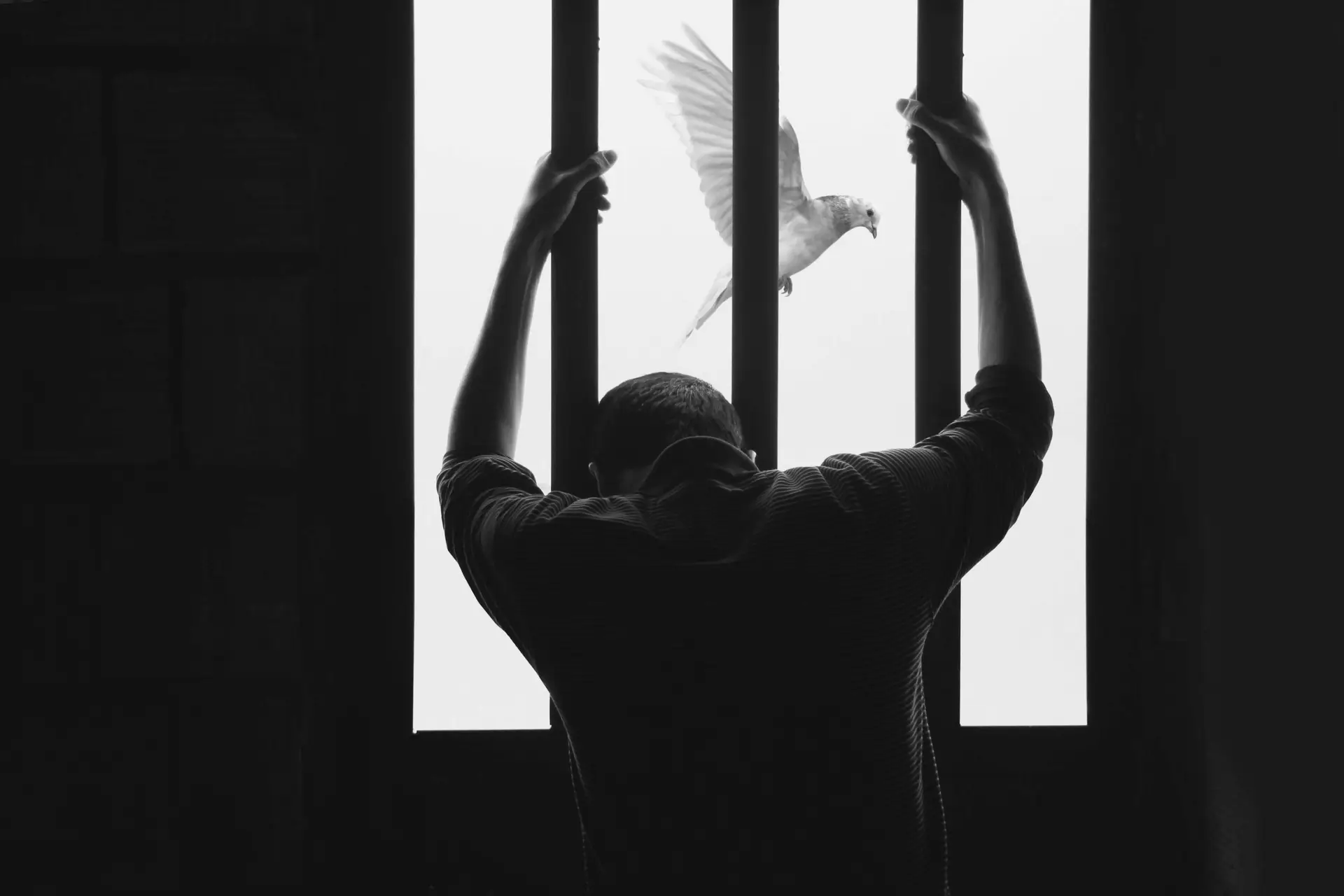 black and white photo of man holding onto bars and a dove flying by