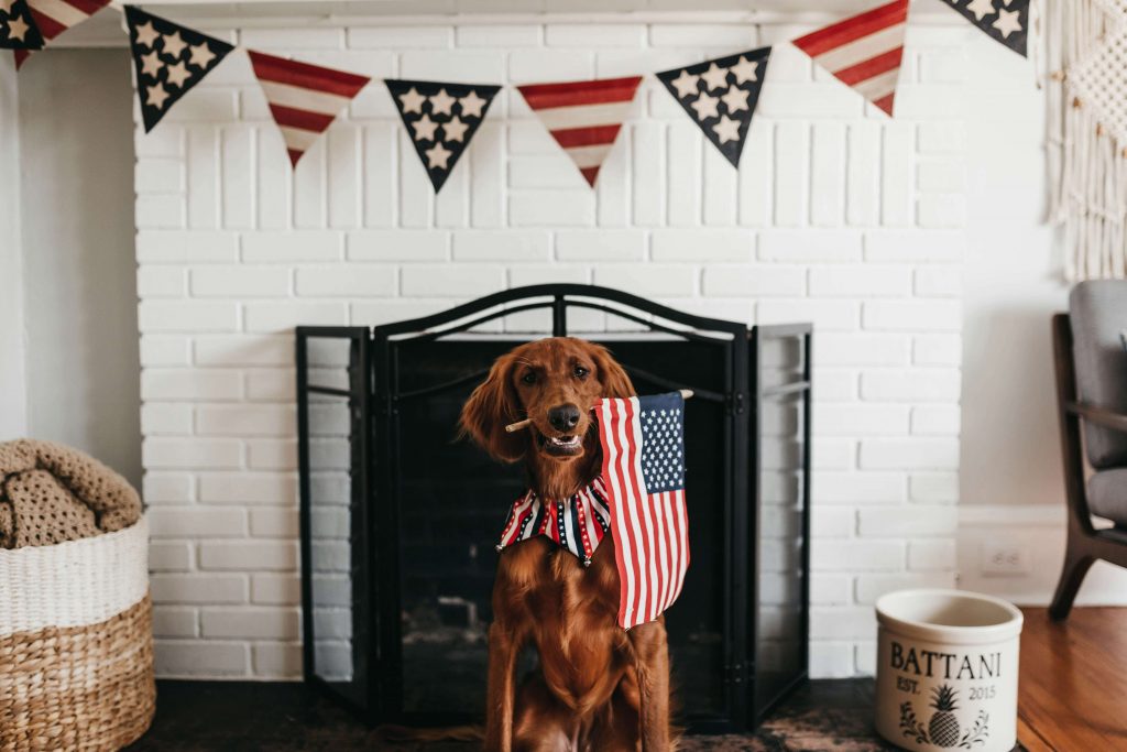 4th of July party decorations 