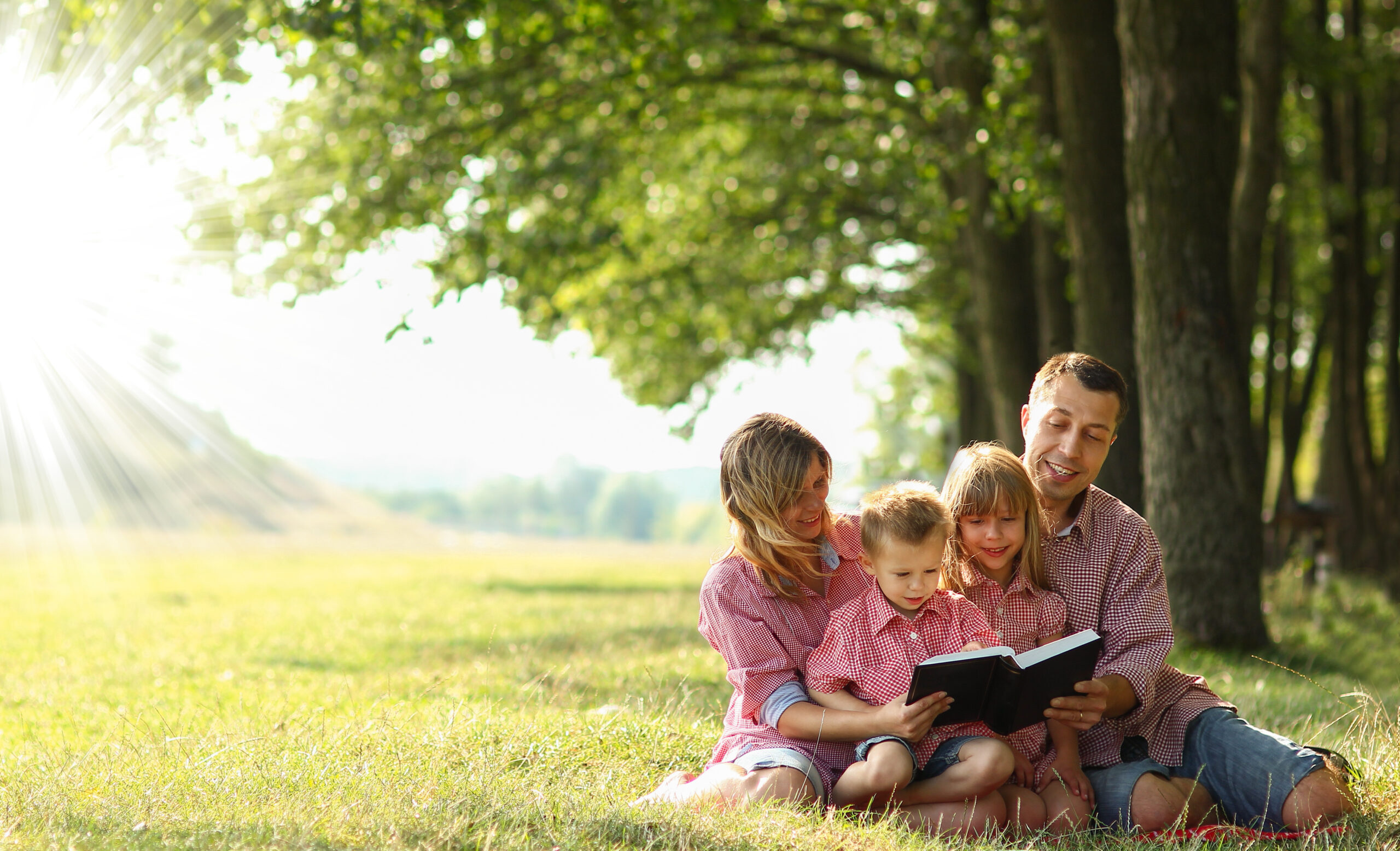 A family of four sits on a blanket outdoors under a tree. The parents, wearing red checkered shirts, read a book with their two young children. Sunlight filters through the leafy branches, creating a warm, serene atmosphere.