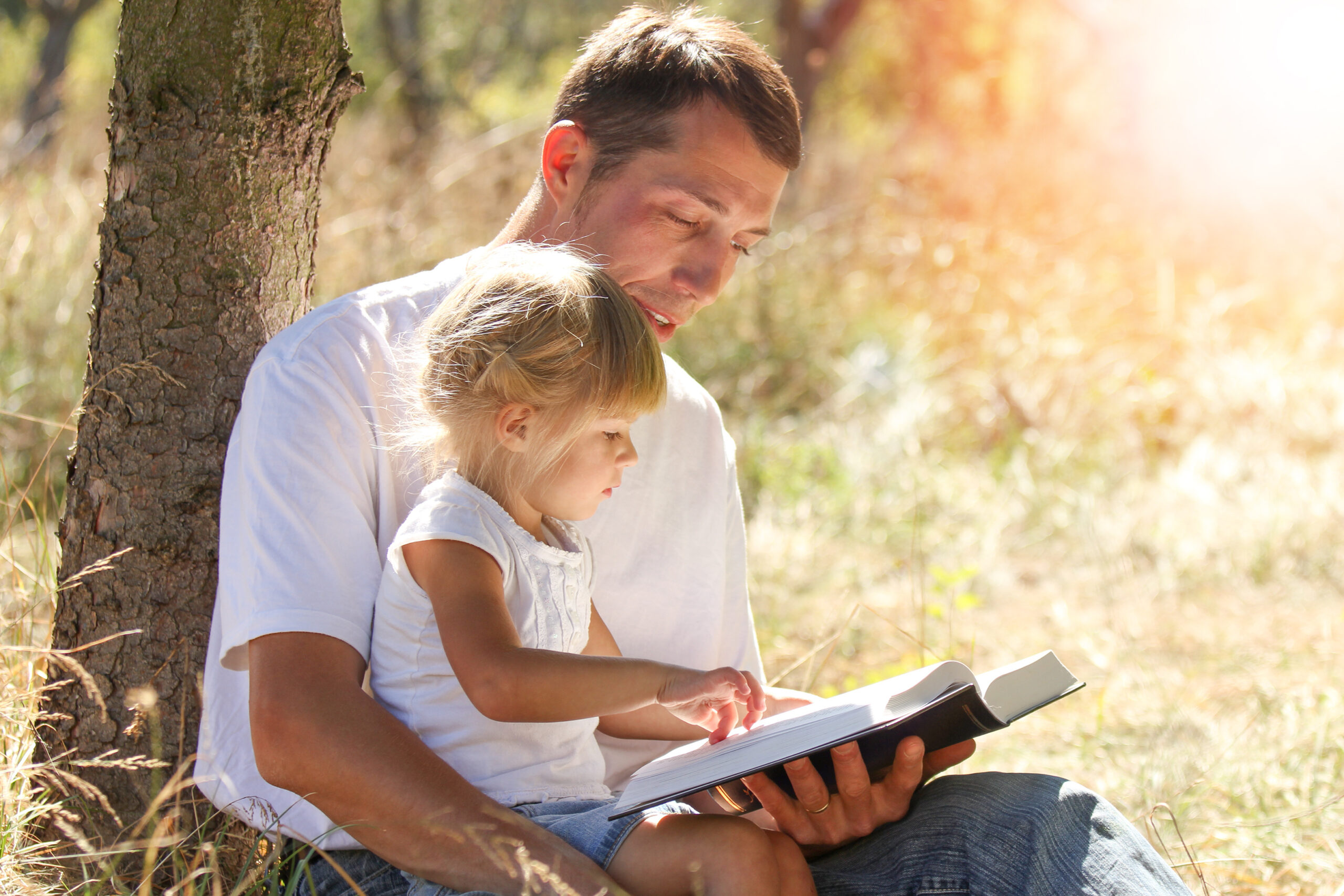 A man sitting under a tree with a young child on his lap, both focused on an open book. Sunlight filters through the trees, creating a warm and peaceful atmosphere in their outdoor setting.