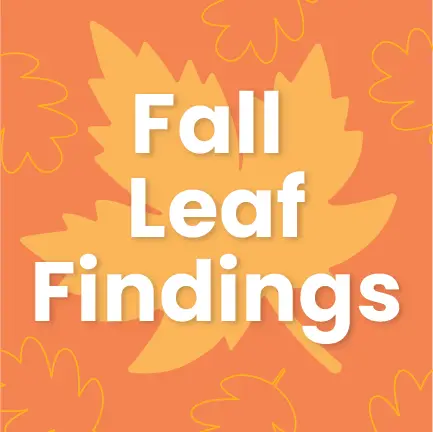 Text reading Fall Leaf Findings is centered on an orange background with a pattern of yellow and light orange stylized leaves.