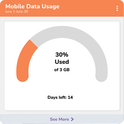 A mobile data usage meter shows 30% of 3 GB used, with an orange arc indicating usage. Text below reads Days left: 14. The header states Mobile Data Usage, June 1–June 30.