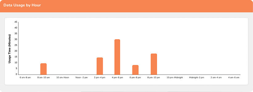 Bar chart titled Data Usage by Hour showing highest usage between 4-6 pm, moderate use at 8-10 am and 8-10 pm, and low or no usage at other times. Usage is measured in minutes on the vertical axis.