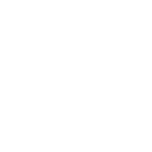 White snowflake with six branches and intricate symmetrical patterns, set against a light gray background.